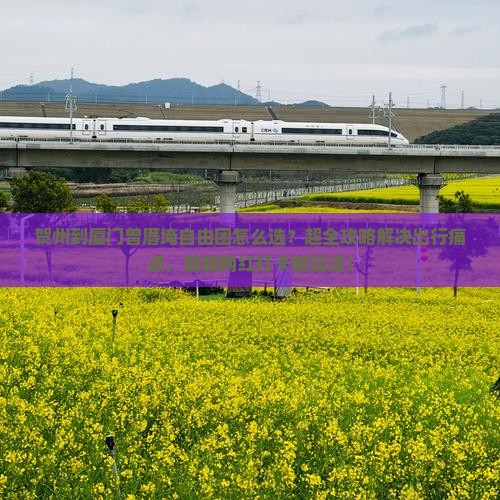 贺州到厦门曾厝埯自由团