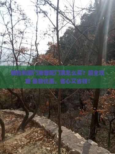 烟台到厦门南普陀门票