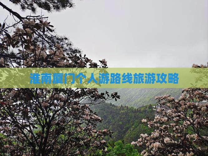 淮南去厦门个人游