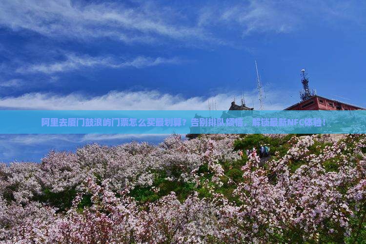 阿里去厦门鼓浪屿门票