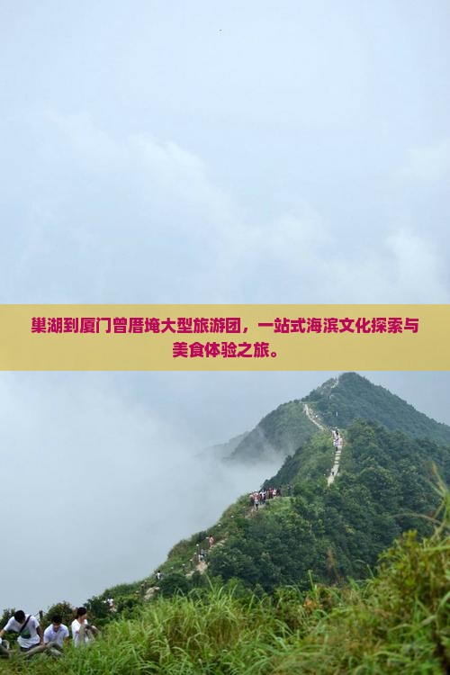 巢湖到厦门曾厝埯大型旅游团