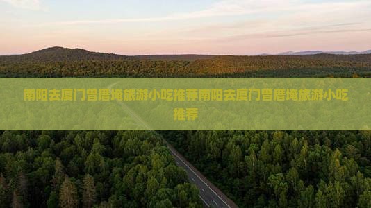 南阳去厦门曾厝埯旅游小吃