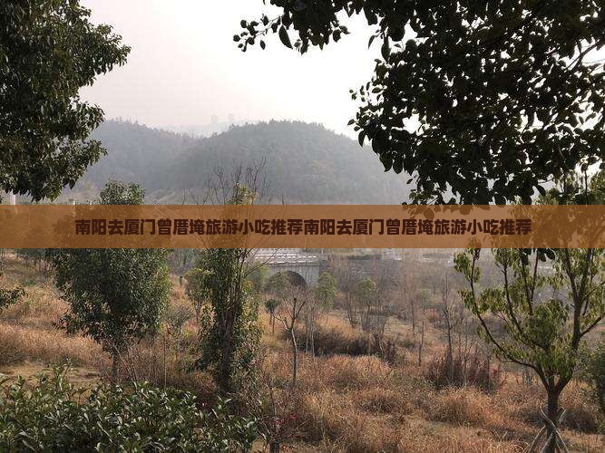 南阳去厦门曾厝埯旅游小吃