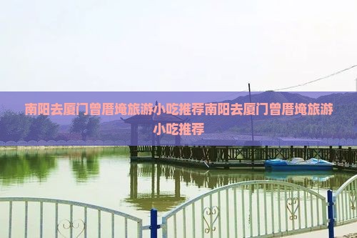 南阳去厦门曾厝埯旅游小吃