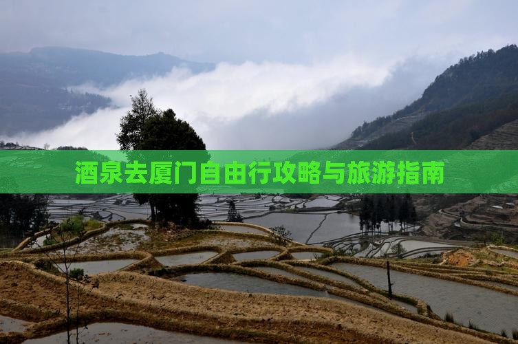 酒泉去厦门自由团