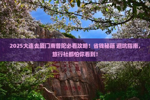 大连到厦门南普陀旅行社