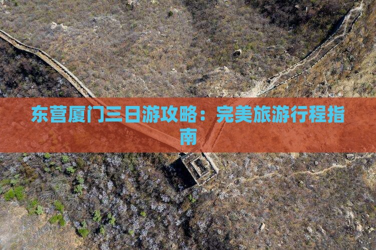 东营去厦门三日游