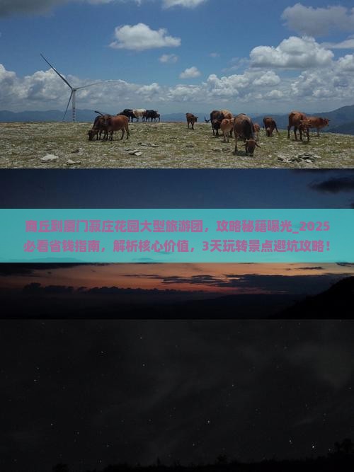 商丘到厦门菽庄花园大型旅游团