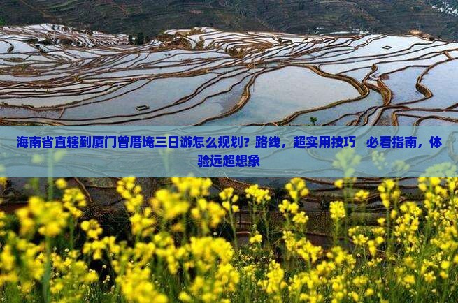 海南省直辖到厦门曾厝埯三日游