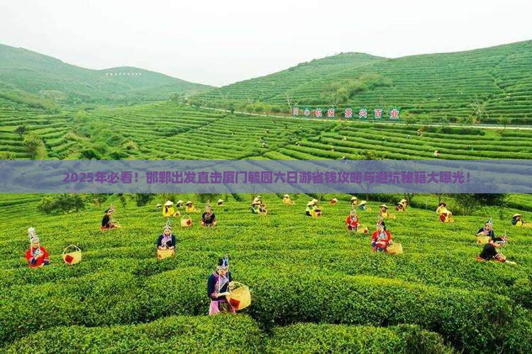邯郸去厦门毓园六日游