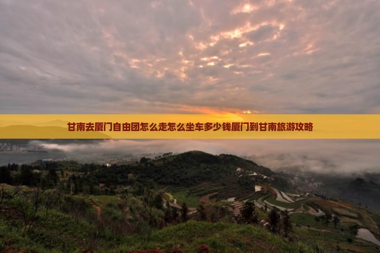 甘南去厦门自由团