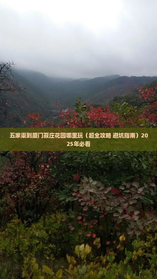五家渠到厦门菽庄花园哪里玩