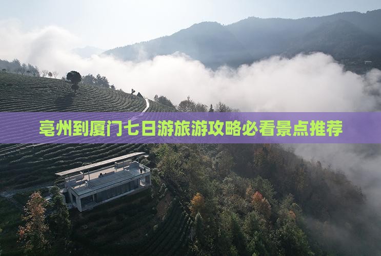 亳州去厦门七日游