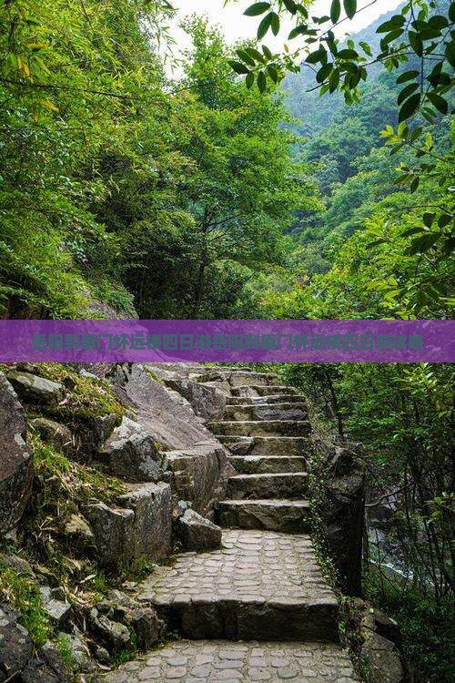 岳阳到厦门怀远楼四日游