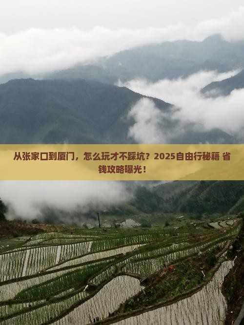 张家口去厦门自由行