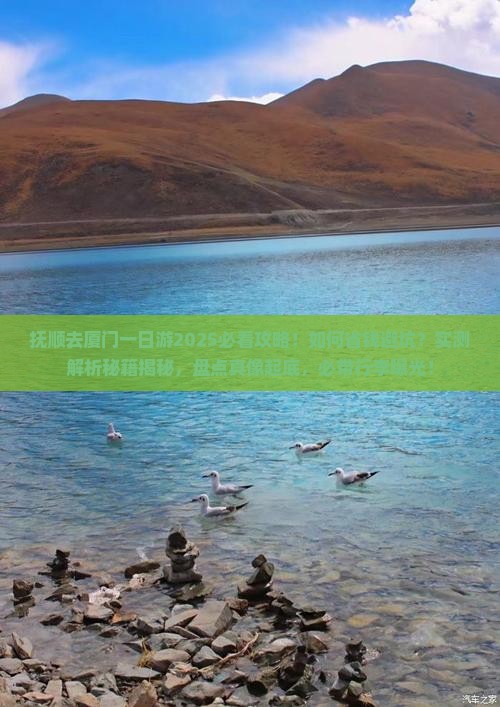 抚顺去厦门一日