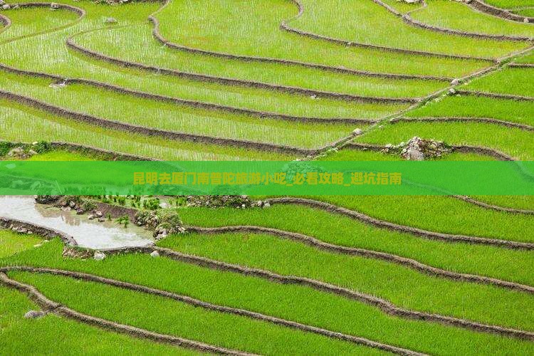 昆明去厦门南普陀旅游小吃