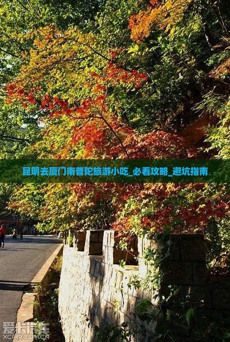 昆明去厦门南普陀旅游小吃