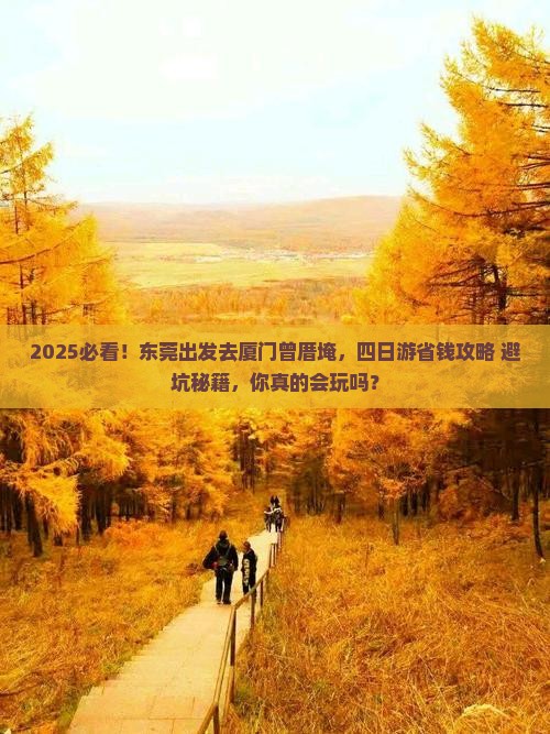 东莞去厦门曾厝埯四日游