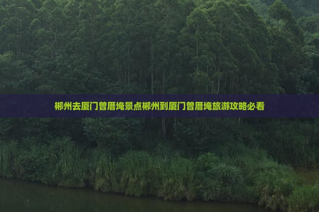 郴州去厦门曾厝埯景点