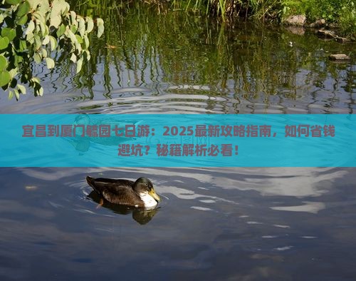 宜昌到厦门毓园七日游