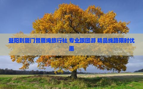益阳到厦门曾厝埯旅行社