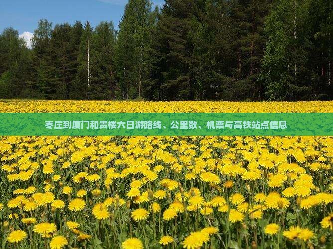 枣庄到厦门和贵楼六日游