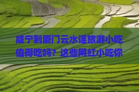 咸宁到厦门云水谣旅游小吃
