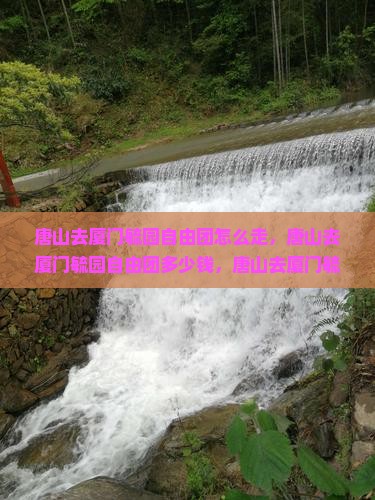 唐山去厦门毓园自由团