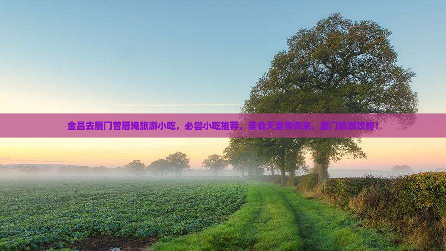 金昌去厦门曾厝埯旅游小吃