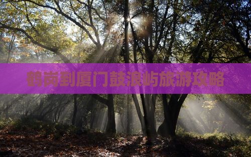 鹤岗到厦门鼓浪屿一日