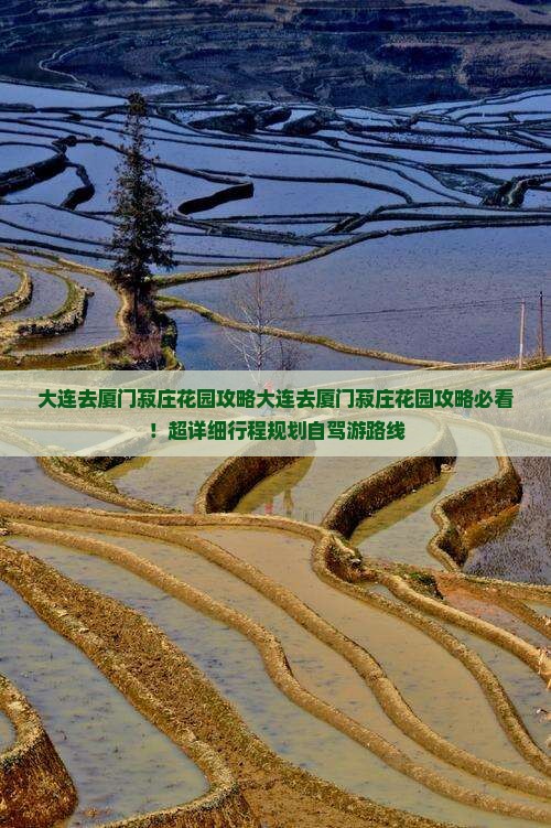 大连去厦门菽庄花园攻略
