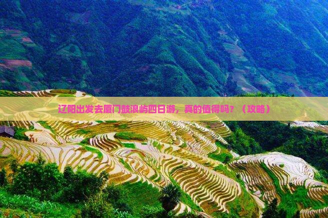 辽阳去厦门鼓浪屿四日游