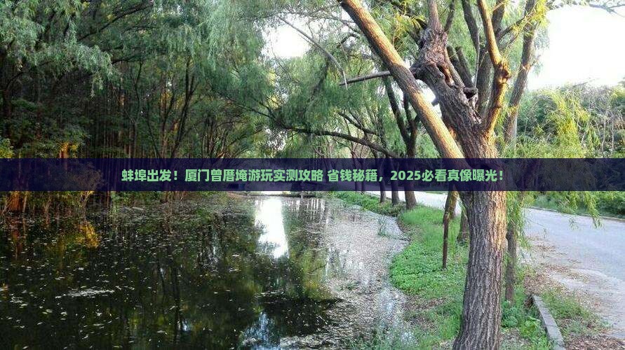 蚌埠到厦门曾厝埯景点