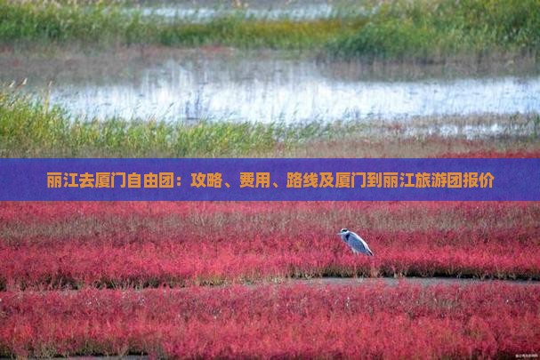 丽江去厦门自由团
