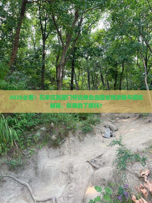 石家庄到厦门怀远楼自由团