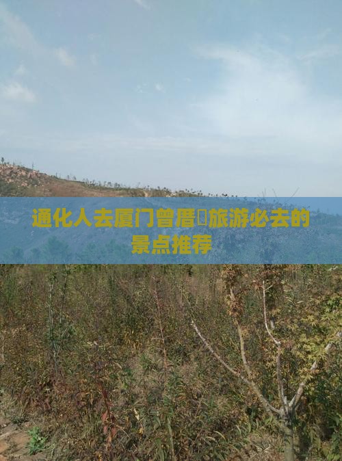 通化去厦门曾厝埯必去地