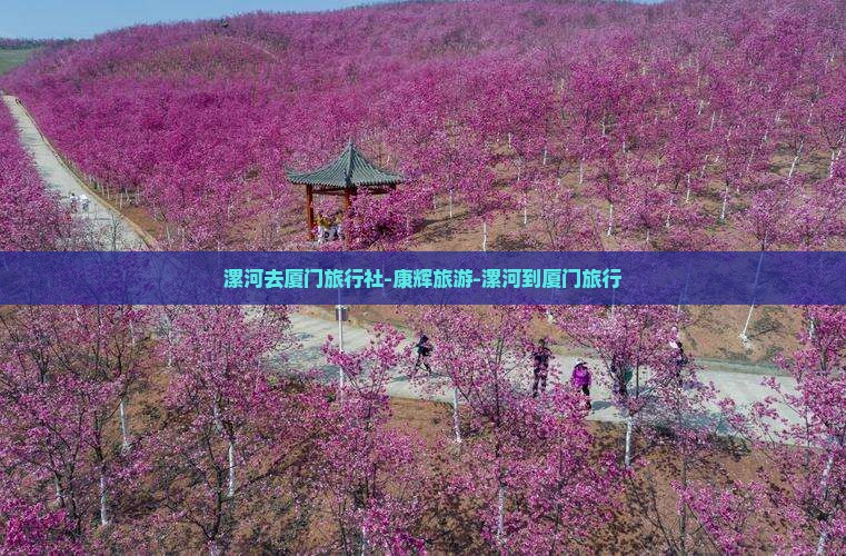 漯河去厦门旅行社