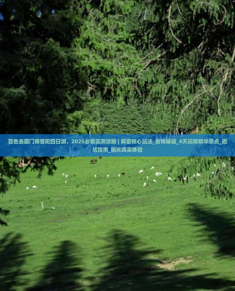 百色去厦门南普陀四日游
