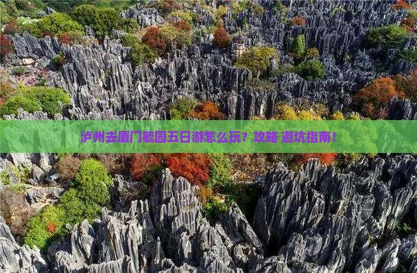 泸州去厦门毓园五日游
