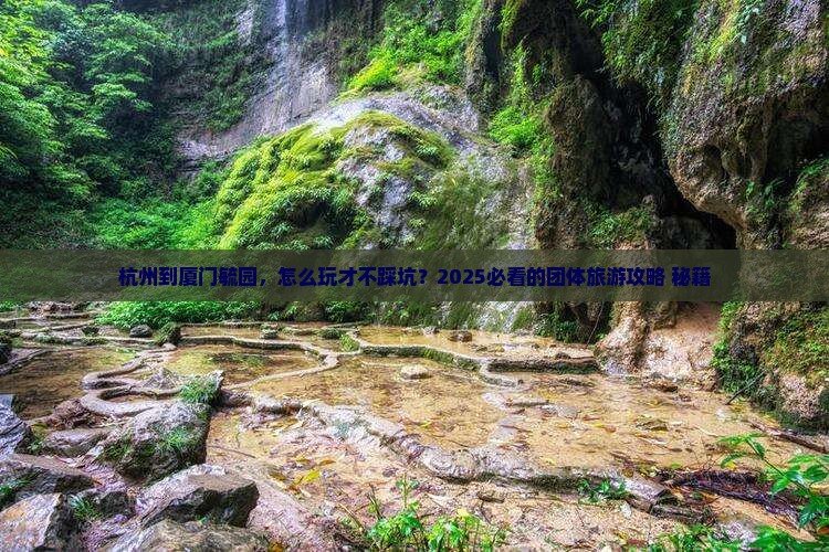 杭州到厦门毓园团体旅游