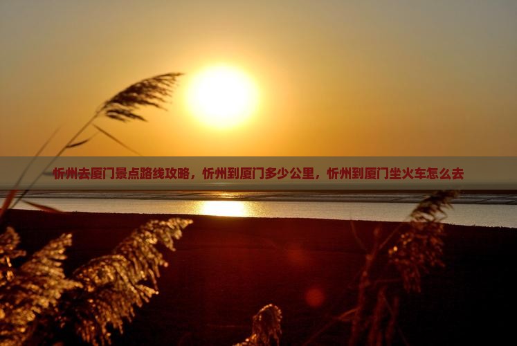 忻州去厦门景点