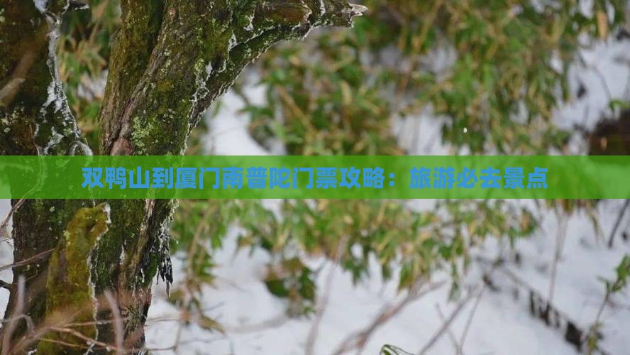 双鸭山到厦门南普陀门票