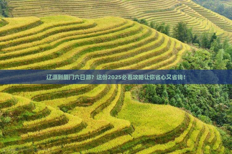 辽源到厦门六日游