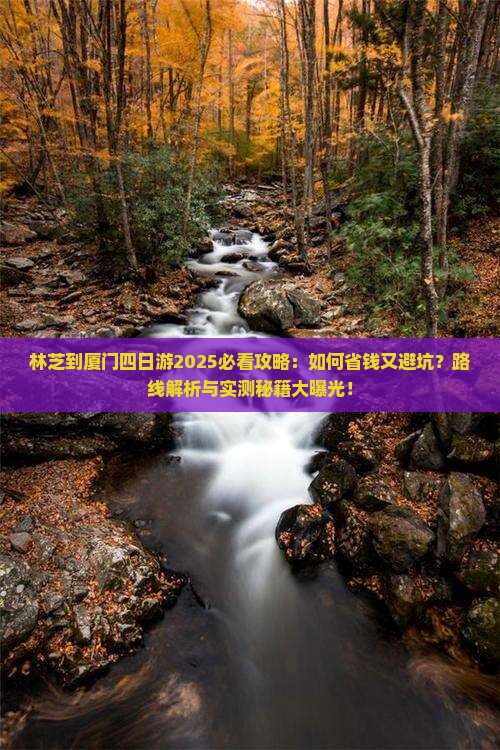 林芝到厦门四日游