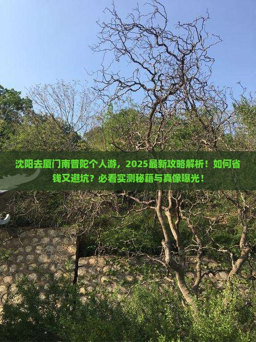 沈阳去厦门南普陀个人游