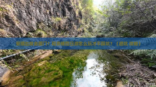 安顺到厦门和贵楼四日游