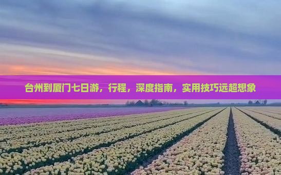 台州到厦门七日游