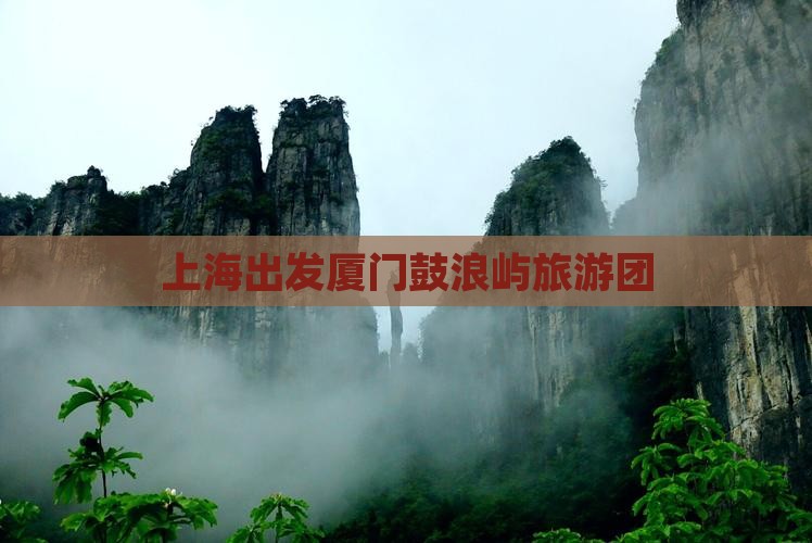 上海到厦门鼓浪屿大型旅游团