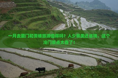 一月去厦门和贵楼旅游